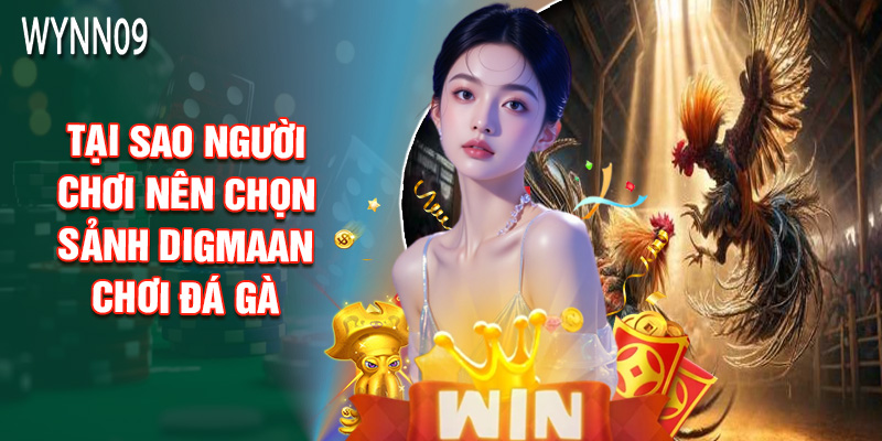 Tại Sao Người Chơi Nên Chọn Sảnh DIGMAAN Chơi Đá Gà