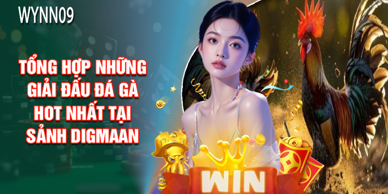 Tổng Hợp Những Giải Đấu Đá Gà Hot Nhất Tại Sảnh DIGMAAN
