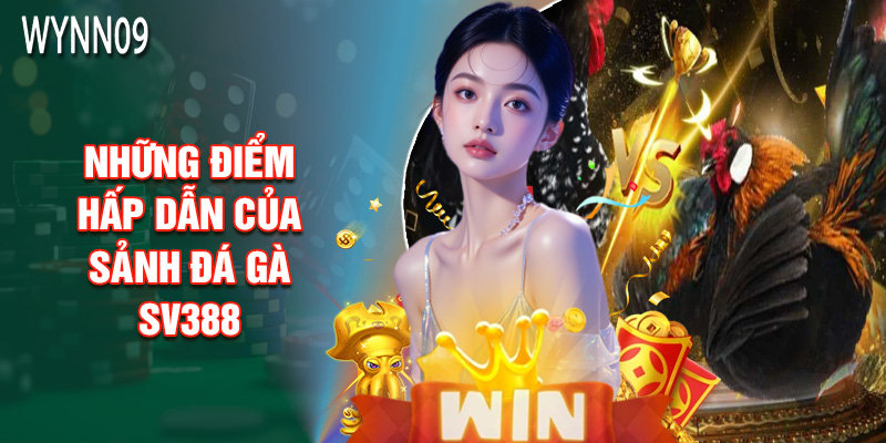 Những Điểm Hấp Dẫn Của Sảnh Đá Gà SV388