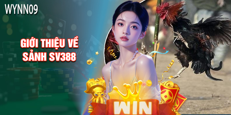 Giới Thiệu Về Sảnh SV388