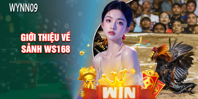 Giới Thiệu Về Sảnh Ws168