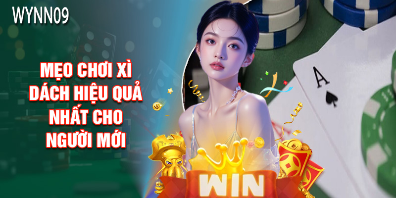 Mẹo Chơi Xì Dách Hiệu Quả Nhất Cho Người Mới